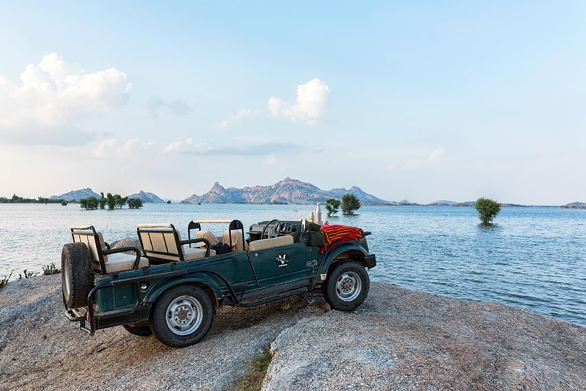 Full Day Safari — Without Stay