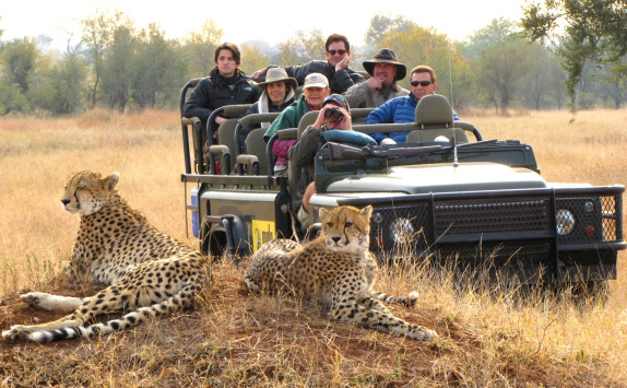 Full Day Safari — Without Stay - Image 2