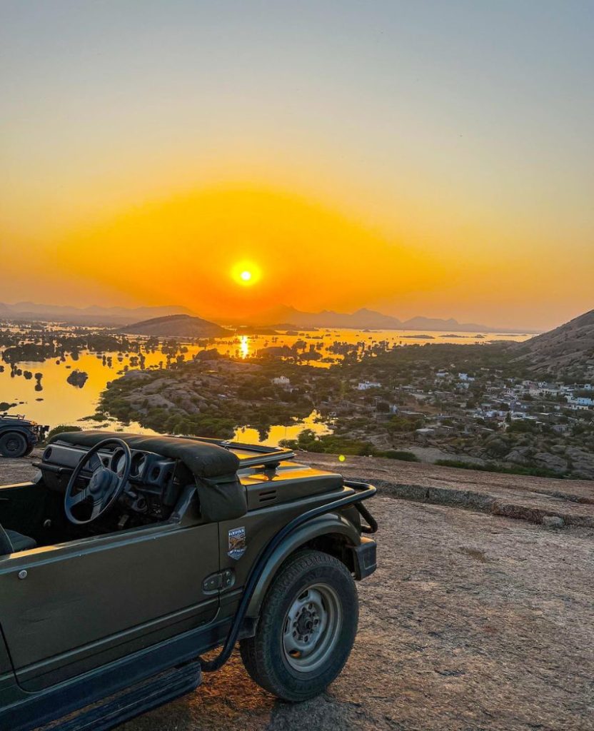 Sunrise Safari — Short & Sweet