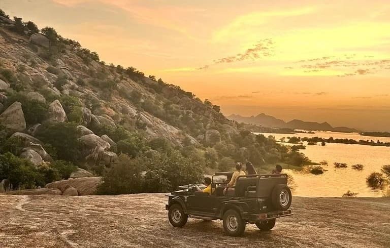 Sunrise Safari — Short & Sweet - Image 3