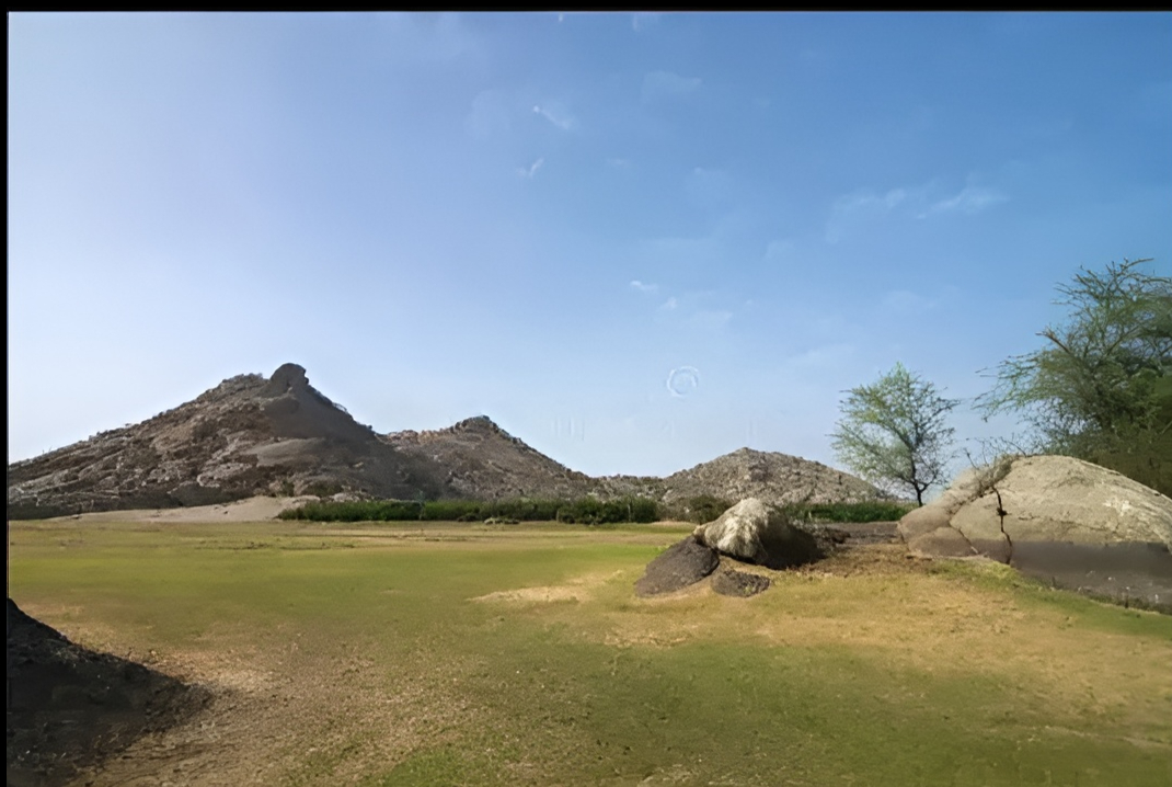 Leopard walking on rocks