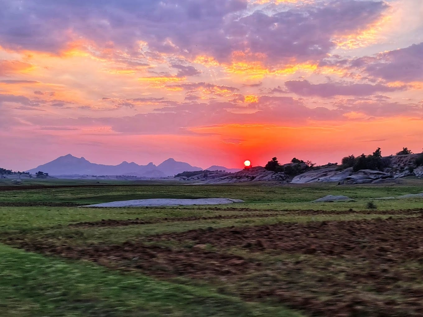 Sunset Safari — Golden Hours